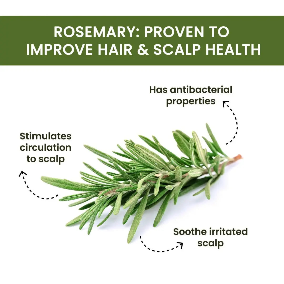 Rosemary Water Spray | For Hair Regrowth (Pack of 3 😍)