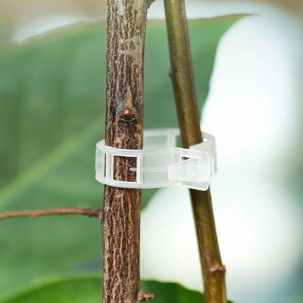 Reusable Plant Support Clips (100 clips)