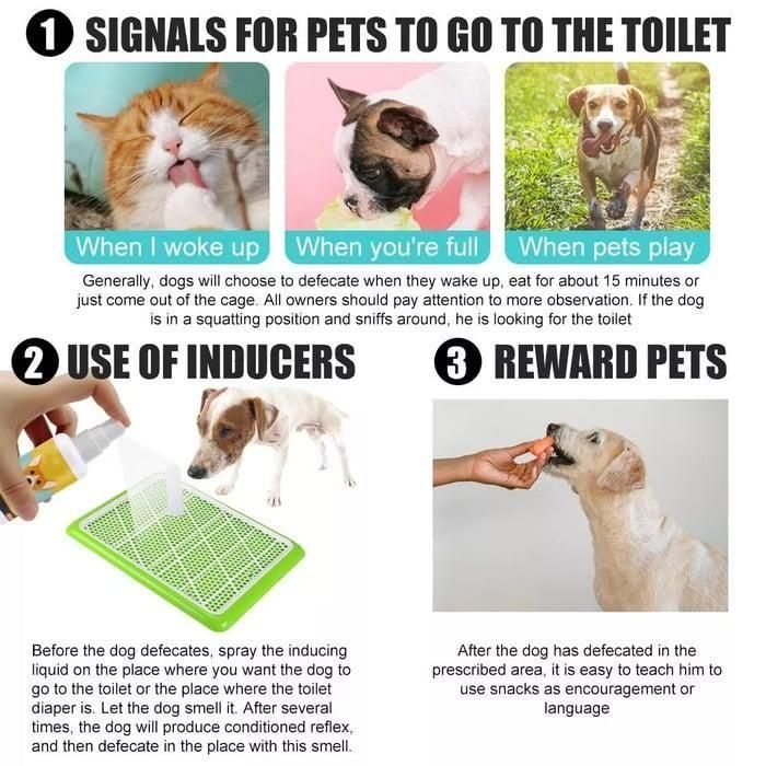 Pawsome Pee-Poo Toilet Training Spray: Train Pets (Pack Of 2)