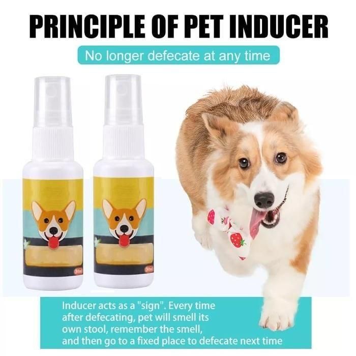 Pawsome Pee-Poo Toilet Training Spray: Train Pets (Pack Of 2)