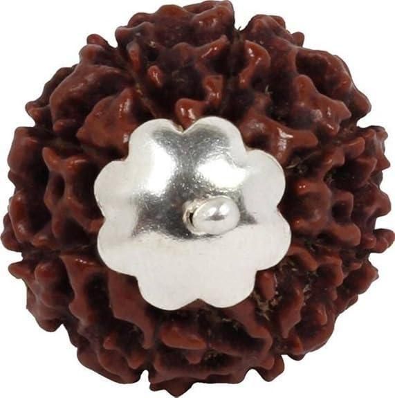 BD 7 Mukhi Rudraksha Silver Capped Pendant