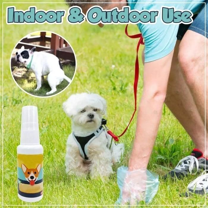 Pawsome Pee-Poo Toilet Training Spray: Train Pets (Pack Of 2)