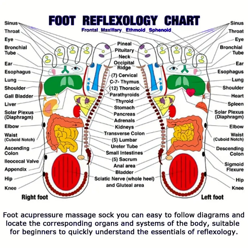 Foot Reflexology Socks (2 Socks + 1 Stick)